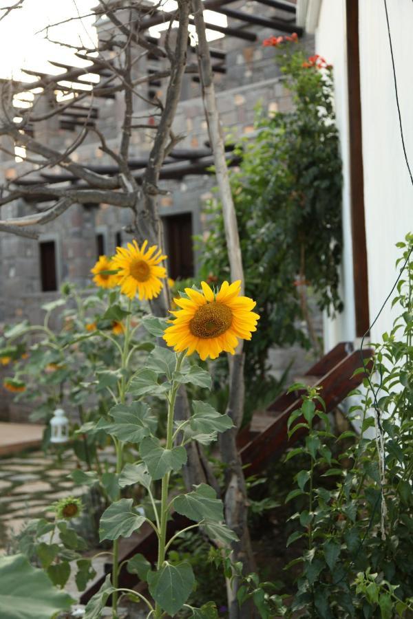 Akvaryum Hotel Бозджаада Экстерьер фото