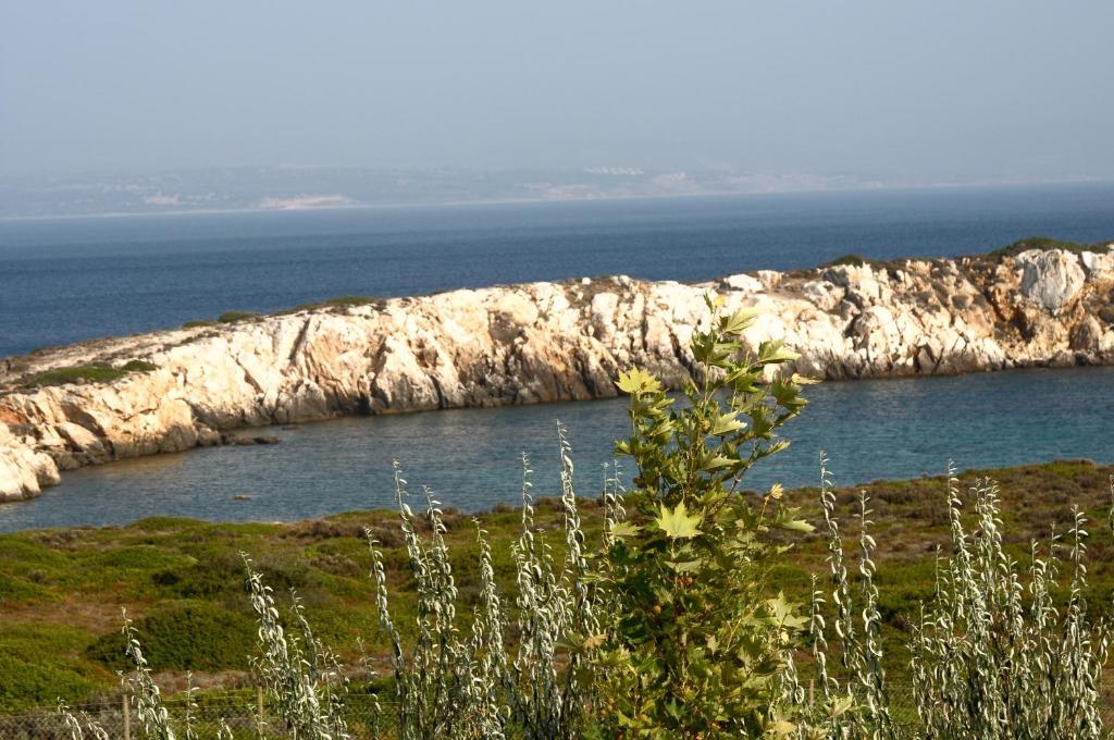 Akvaryum Hotel Бозджаада Номер фото